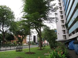 Bukit Ho Swee View (D3), Shop House #614492111